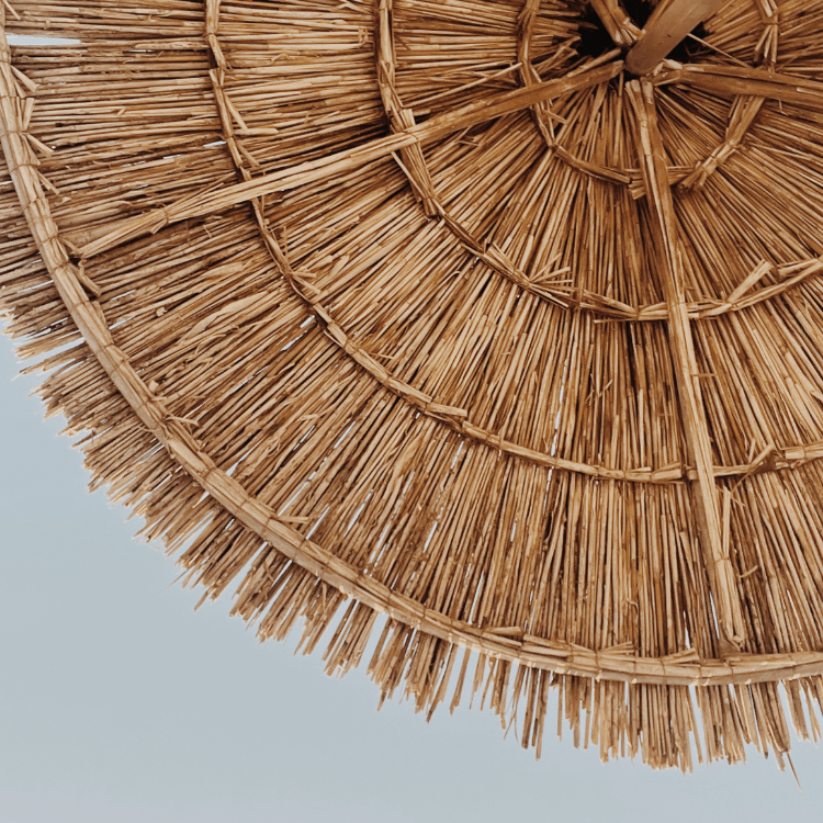 Was ist eigentlich eine Trance?