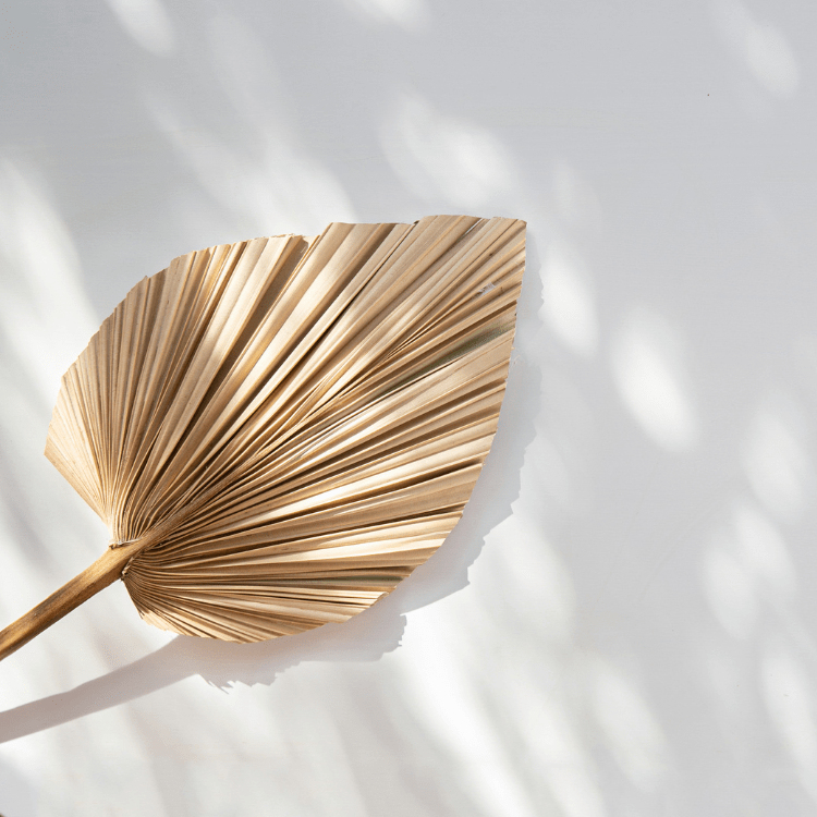 Medialer Impuls: Schnelle Klarheit